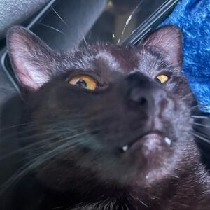 Meet your Posher, Erina